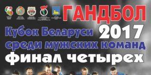 13 и 14 мая 2017 года в городе Гомеле на базе Ледового Дворца состоялись игры по гандболу среди мужских команд