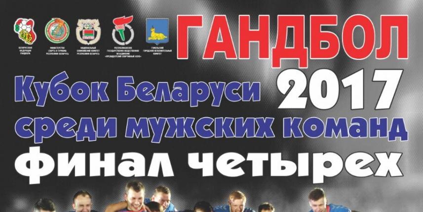 13 и 14 мая 2017 года в городе Гомеле на базе Ледового Дворца состоялись игры по гандболу среди мужских команд