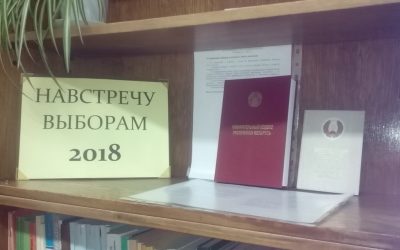 Выборы в местные Советы депутатов