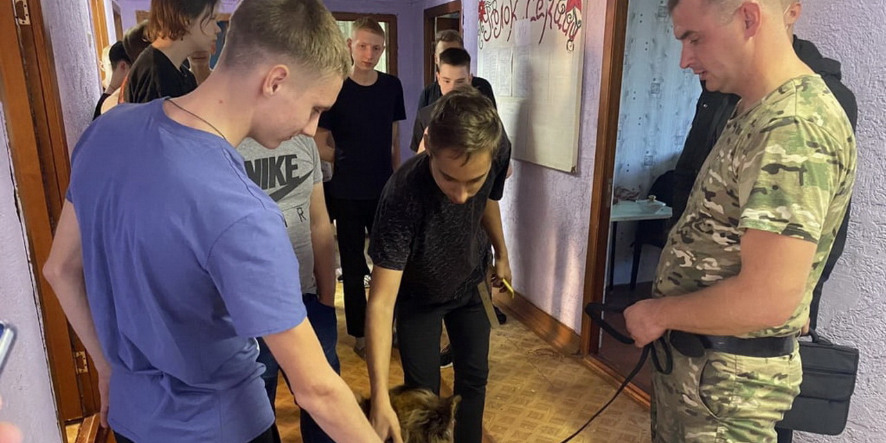 Профилактика потребления наркотиков