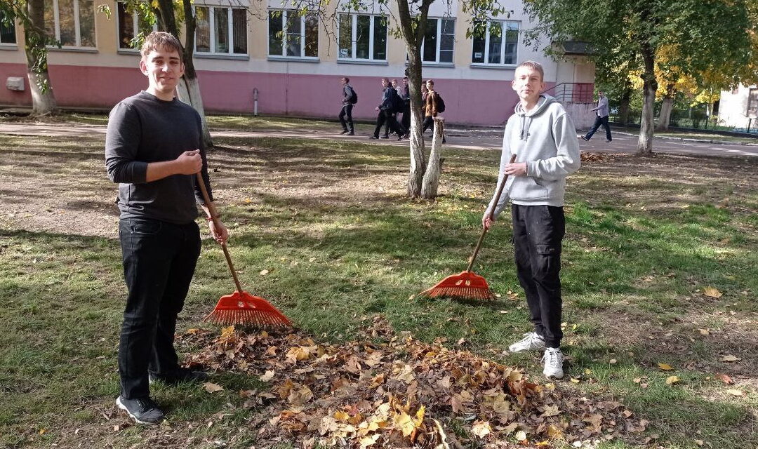 Осенняя уборка