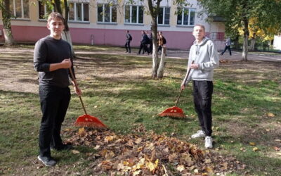 Осенняя уборка